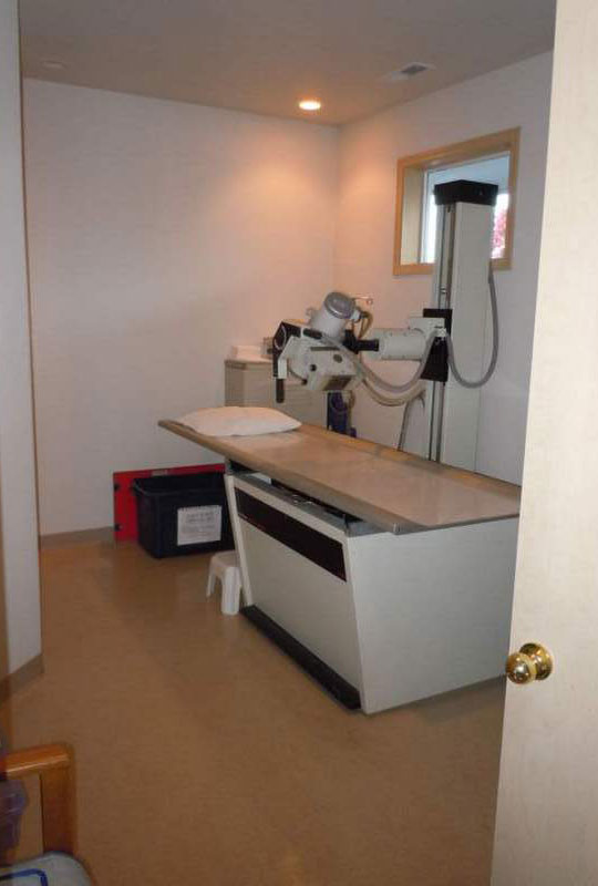 Chrio-Pysio - Exam Room
